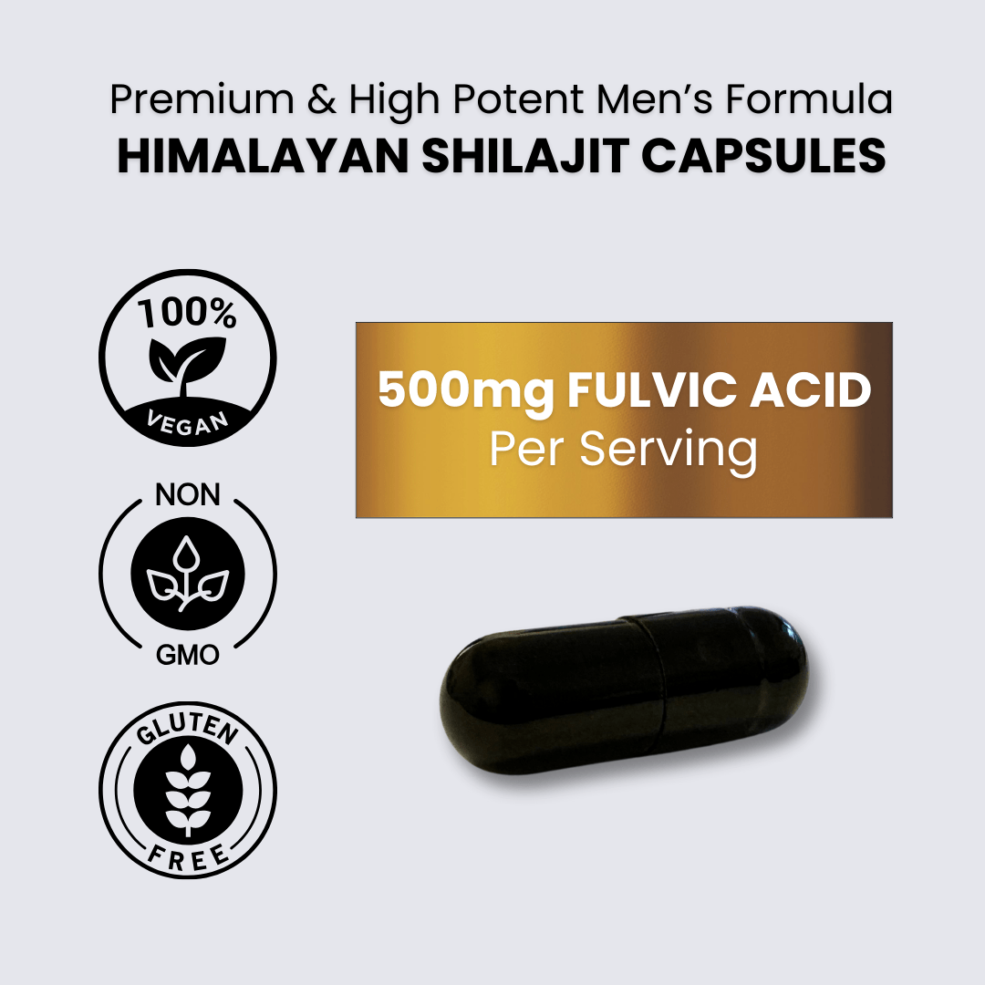Shilajit Gummies for Mens Health
