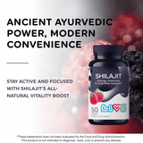 Shilajit Gummies image 2