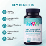 Akkermansia + Inulina image 3